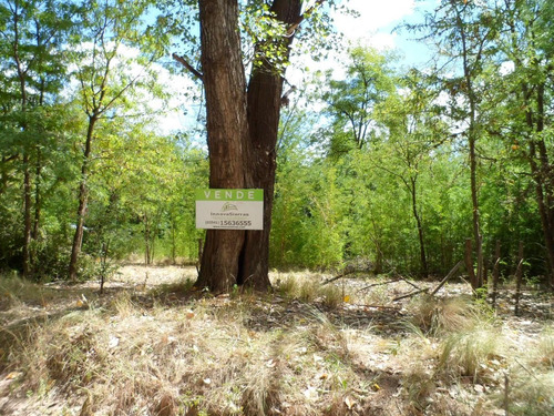Imagen 20 de 24 de Venta Excelente Terreno 2.400 M2 San Huberto, Nono, Traslasierra