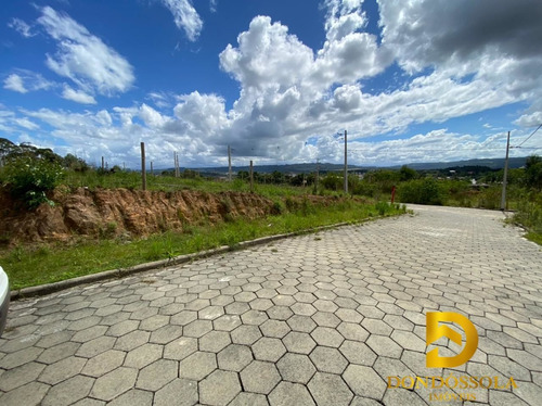 Terreno À Venda No Bairro Vila Floresta - Criciúma/sc - 105
