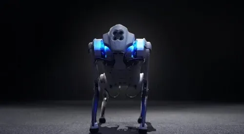 Profesional Robot Dog Unitree