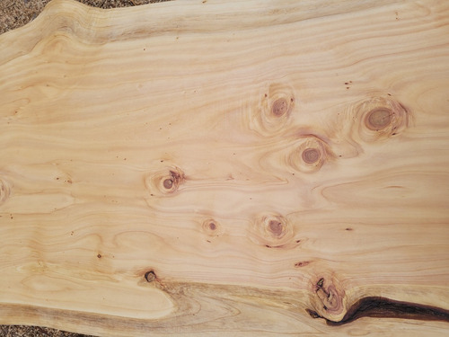 Cubierta De Mesa Madera Ciprés Macrocarpa De 90cmsx50cms