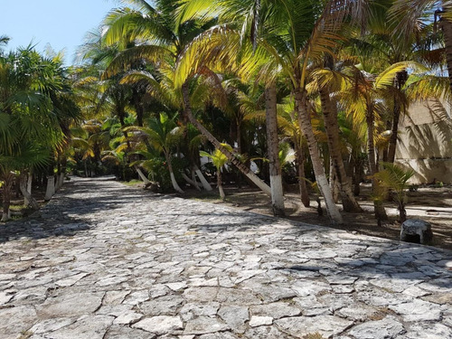 Imagen 13 de 18 de En Venta Terreno Comercial En Solidaridad Quintana Roo