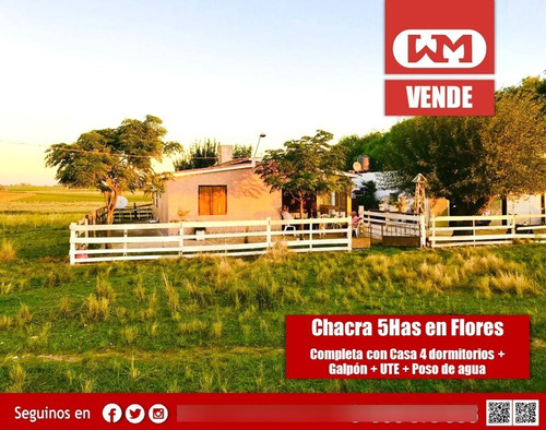 Venta Chacra Flores 5 Has Agricolas Casco Completo Luz Agua Potable