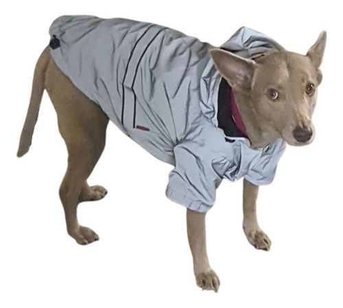 Ropa Para Mascota Invierno Perro Gato Con Capucha Bomber