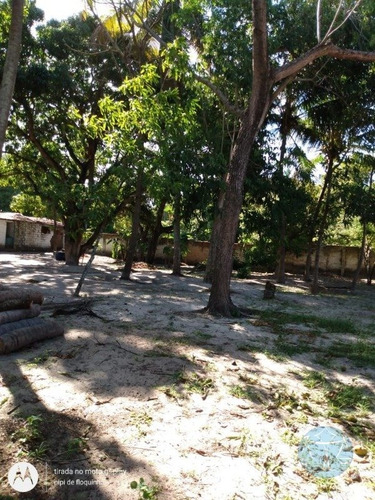Imagem 4 de 8 de Terreno Na Vila De Ponta Negra - V-11436
