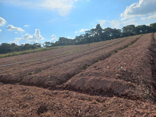 Imagem 12 de 22 de 03o- Vendo Esse Terreno Excelente Em Boa Localização