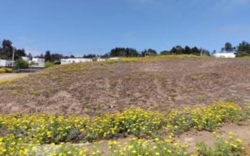 Industrial En Venta En Puchuncaví