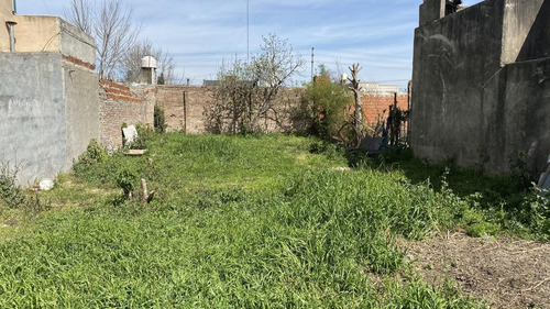 Terreno - Zapiola