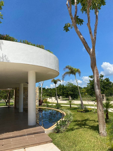 Amplios Lotes En Venta Temozon Norte