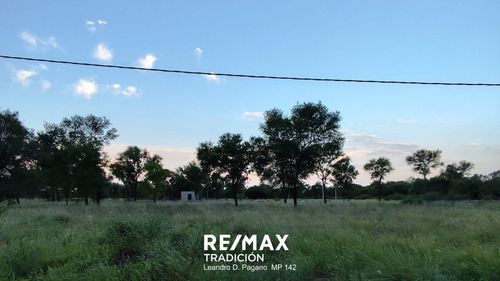 Venta Terreno De 800 M2 En Colonia Popular