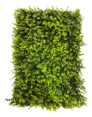 Kit 13 Placa De Eucalipto 40x60 Jardim Vertical Artificial