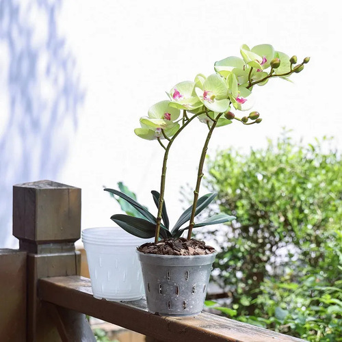 Paquete De 5 Macetas De Plástico Para Orquídeas Con