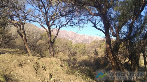 Oportunidada Nuevo Precio Lote En Villa Elena De 7647m2 Ideal Cabañeros Cortaderas San Luis