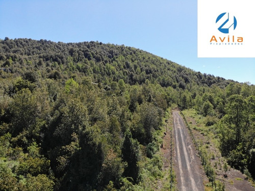 Caburgua Parcela De 5.000m2 Santa Margarita Cod.vtap133