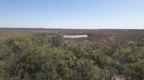 Imagen 20 de 20 de Campo En Venta 400 Ha - Colonia Elena- San Rafael - Mendoza