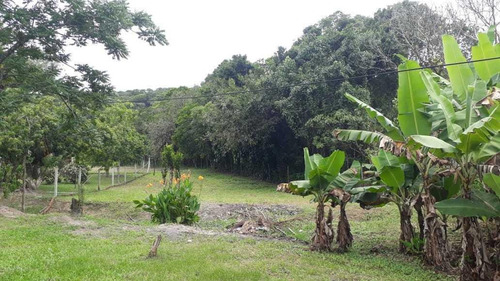 Imagem 9 de 15 de Sítio / Chácara Para Venda Em Paranaguá, Zona Rural, 6 Dormitórios, 3 Banheiros, 1 Vaga - 57_2-1158859