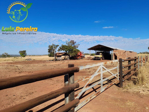Imagem 7 de 8 de Fazenda À Venda Em Gurupi - To 1.336 Hec - (dupla Aptidão) - 1954