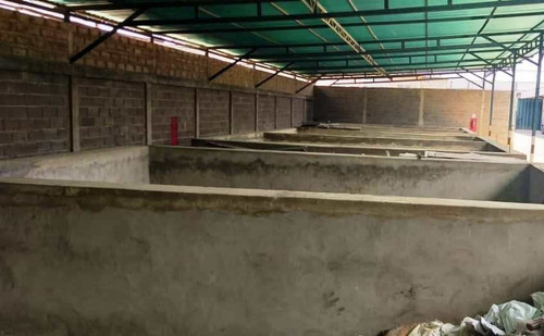 Imagen 5 de 26 de Galpon En Venta