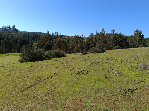 Parcelas Altamira Cercano  A Vichuquén