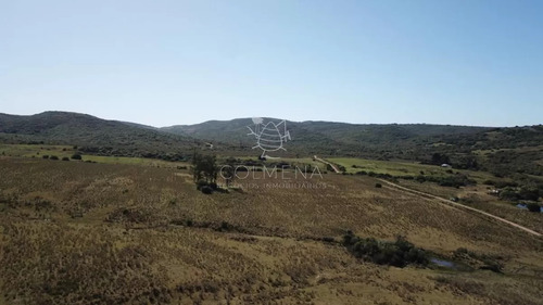 Campo 86 Has 6937 M2 En La Cañas