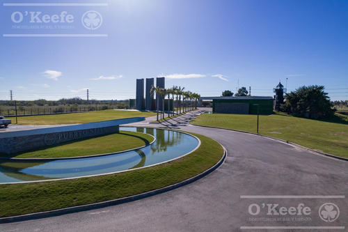 Lote En Venta En Puerto Nizuc - Oportunidad De Inversión En Guillermo Hudson
