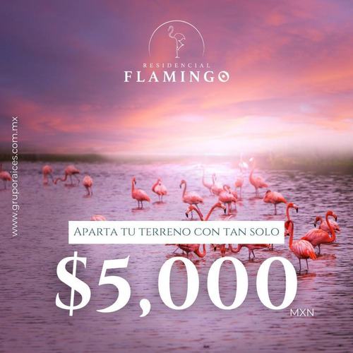 Terrenos De 250m2 A Solo 350 Metros Del Mar, Frente A La Laguna, San Bruno, Yucatan, Financiamiento