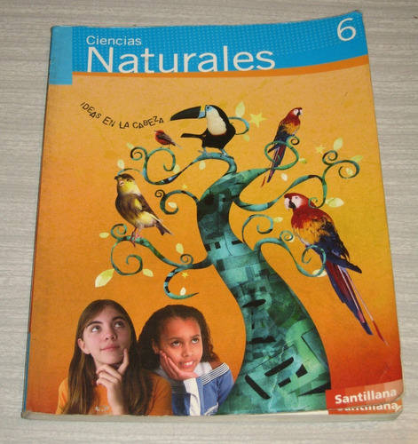 Ciencias Naturales 6 Ideas En La Cabeza Santillana