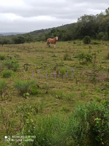 Chacra En Zona De Las Cañas, Buenas Vistas Con Tajamar Y Arroyos!