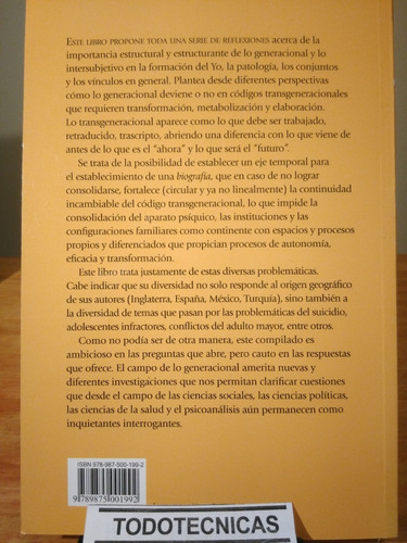 Imagen 2 de 3 de Identidades Vinculos Y Transmicion Generacional A. Klein -mn