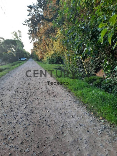 Imagen 1 de 3 de 27 Bis Entre 422 Y 426, Lote En Ph En Venta, Villa Elisa.-