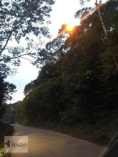 Imagem 13 de 17 de Terreno 790 M² - Venda - Jardim Santista (santa Luzia) - Ribeirão Pires/sp - Te0057