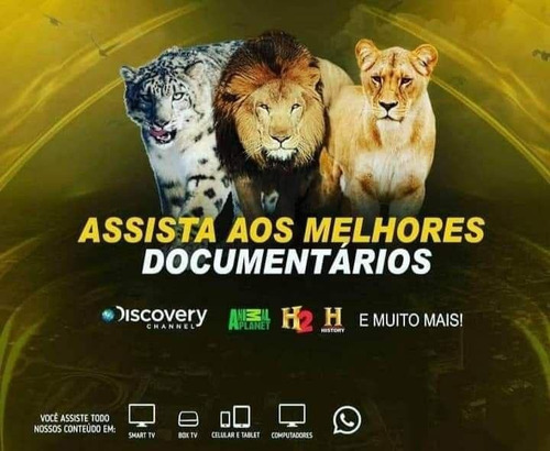 Imagem 3 de 5 de Todos Os Canais + Filmes E Séries