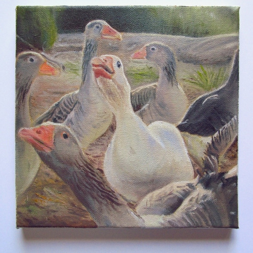 Óleo Sobre Lienzo De 20 X 20 Cm De Gansos