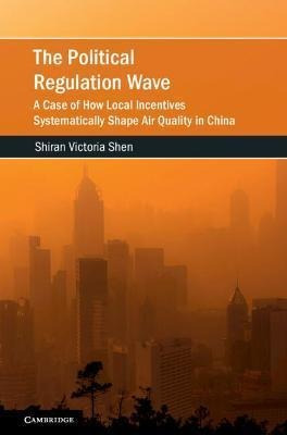 Libro The Political Regulation Wave : A Case Of How Local...