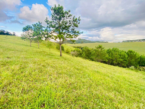 Imagem 3 de 10 de M48- Venha Para Tranquilidade Do Interior!!