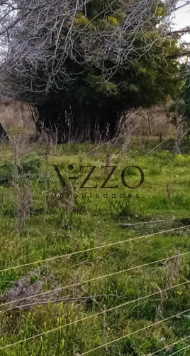 Oportunidad Chacra De 3 Ha En Venta En San Bautista