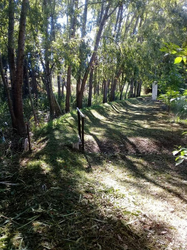 Imagen 28 de 28 de Venta De Casa En Arroyo Las Glorietas - Zona Delta Tigre