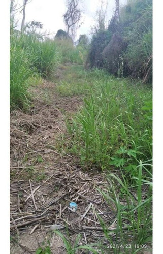 Imagen 11 de 13 de Venta De Lote De Terreno De Cuatro Hectáreas San Diego Carrizal