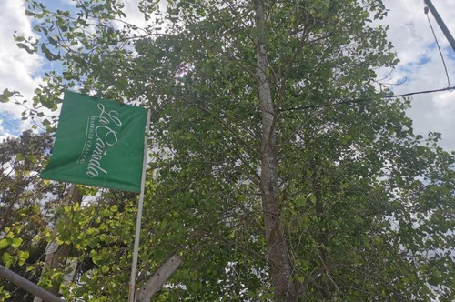 Imagen 1 de 5 de Terreno Venta -2630m2 Totales- City Bell