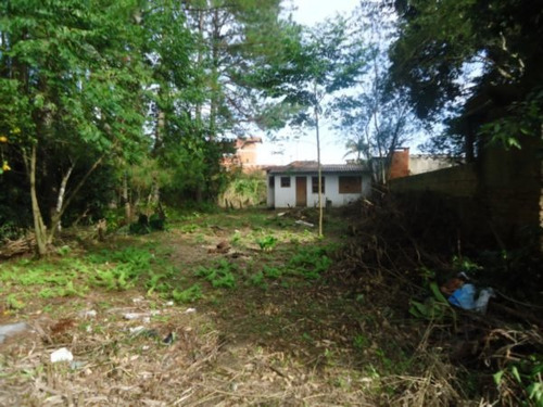 Terreno Em Aberta Dos Morros - Mi12604