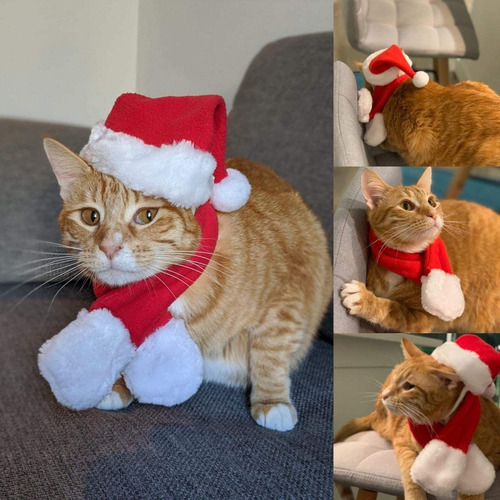 Traje De Navidad Gorro De Papá Noel Gato Con Bufanda 4 Pieza