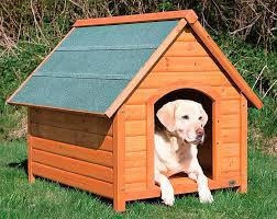 Casa De Perro, Casa De Mascota,