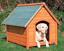 Casa De Perro, Casa De Mascota,