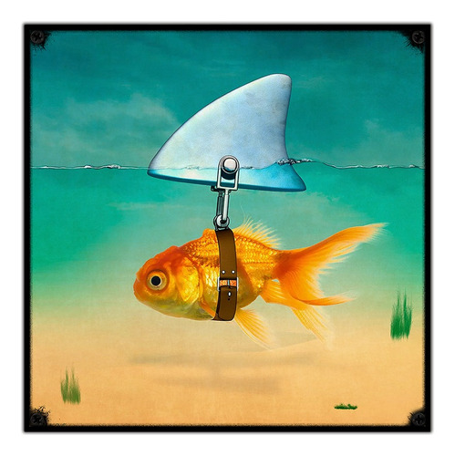 #427 - Cuadro Vintage 30 X 30 - Pez Tiburón Mar Poster Pesca