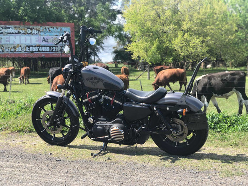 Harley Davidson Sportster 883 Iron