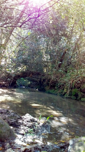 Campo 35 Hás Sierras De Caracé Maldonado Ideal Viñas-olivos