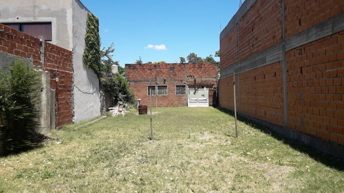 Imagen 1 de 2 de Dorrego, Lote Con Galpon