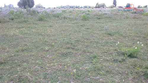 Imagen 28 de 30 de Agrícola En Venta En Linares