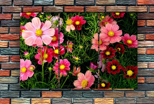 Cuadro 40x60cm Flores Naturaleza Colores M3