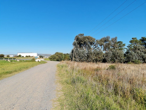 Lote Sobre Colectora Ruta 226 A Mar Del Plata