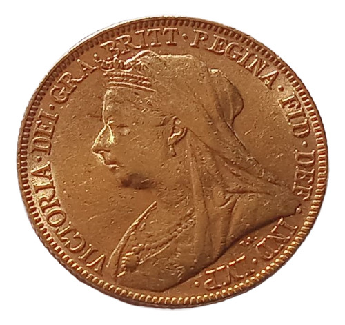 Moeda De Ouro Au 22k 1 Libra 7.98 Gra 1898 Rainha Victoria (Usado)